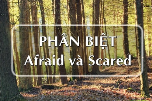 Cách phân biệt Afraid và Scared