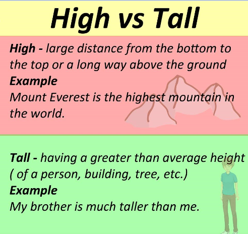 Cách phân biệt hai từ high và tall trong tiếng Anh