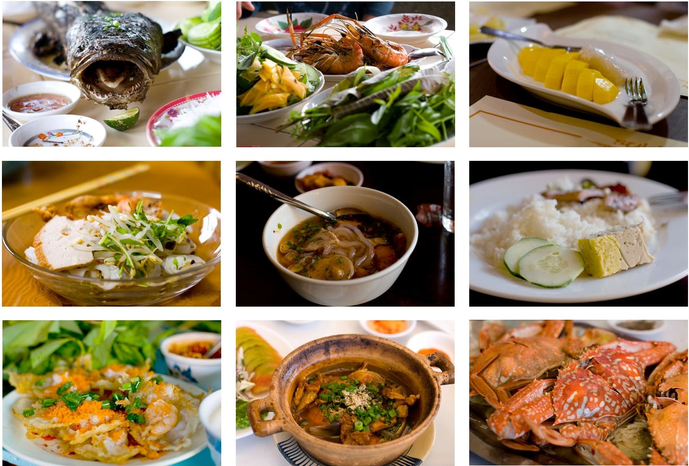 Unit 5: Vietnamese food and drink